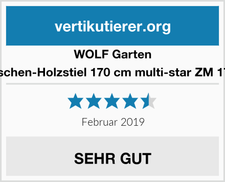 WOLF Garten Eschen-Holzstiel 170 cm multi-star ZM 170 Test
